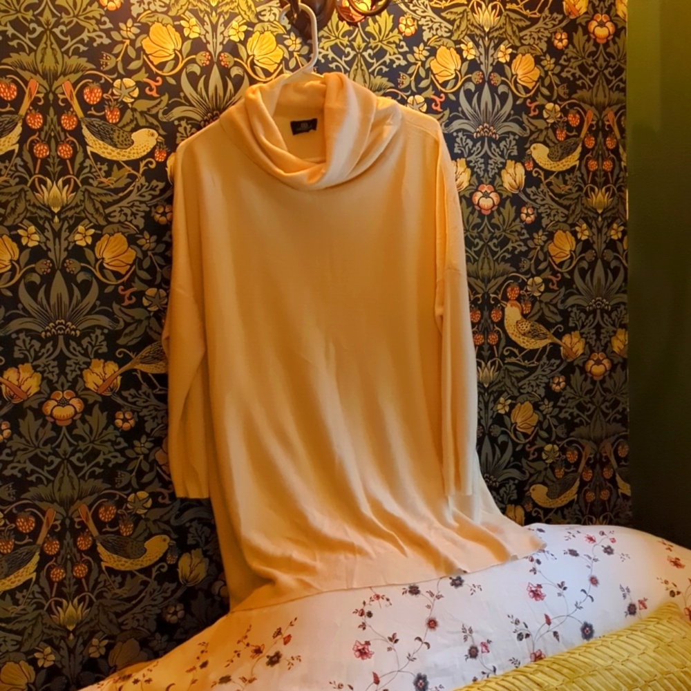 Sexy cowl neck tunic
